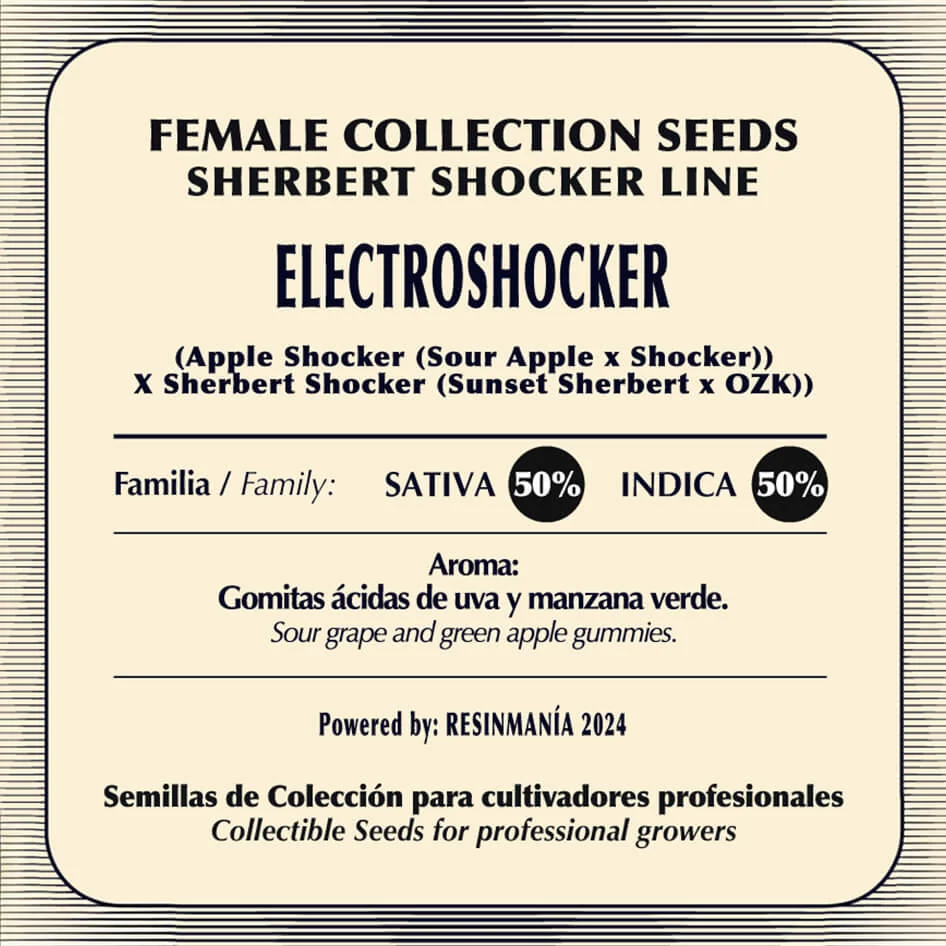 Electroshocker 2