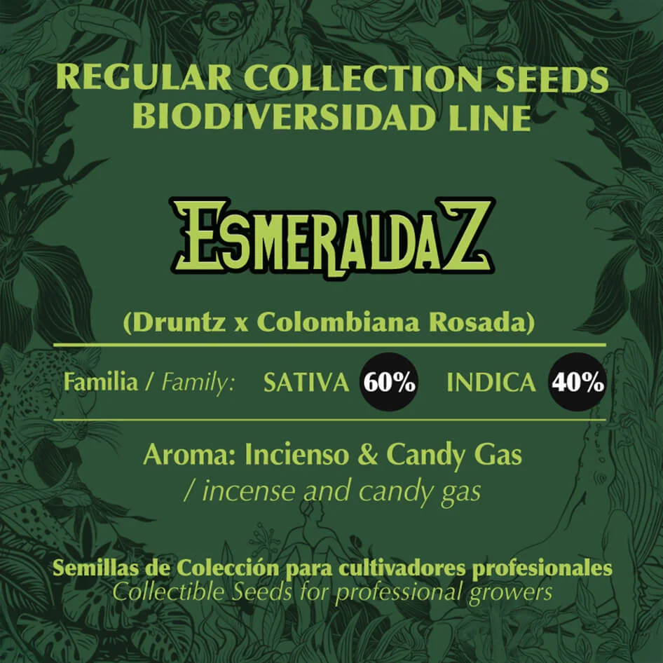 Esmeraldaz 2
