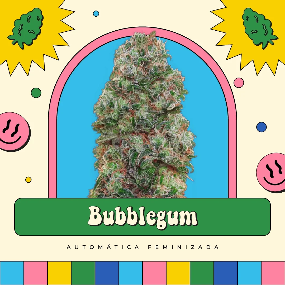 Bubblegum