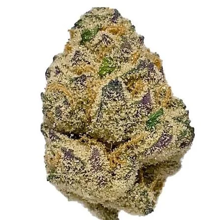 Dragon Fruit 2