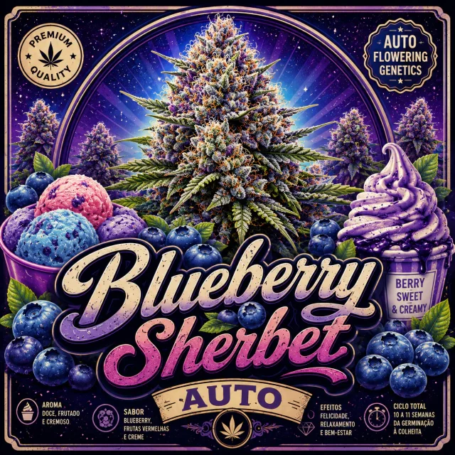 Blueberry Sherbet