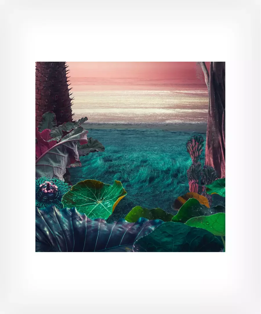 Tropical Thunder Multipack