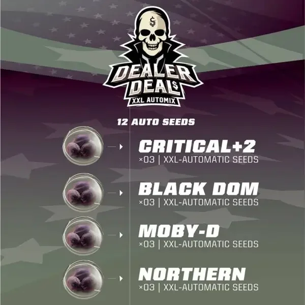 Dealer Deal Xxl Mix Bsf Com 2