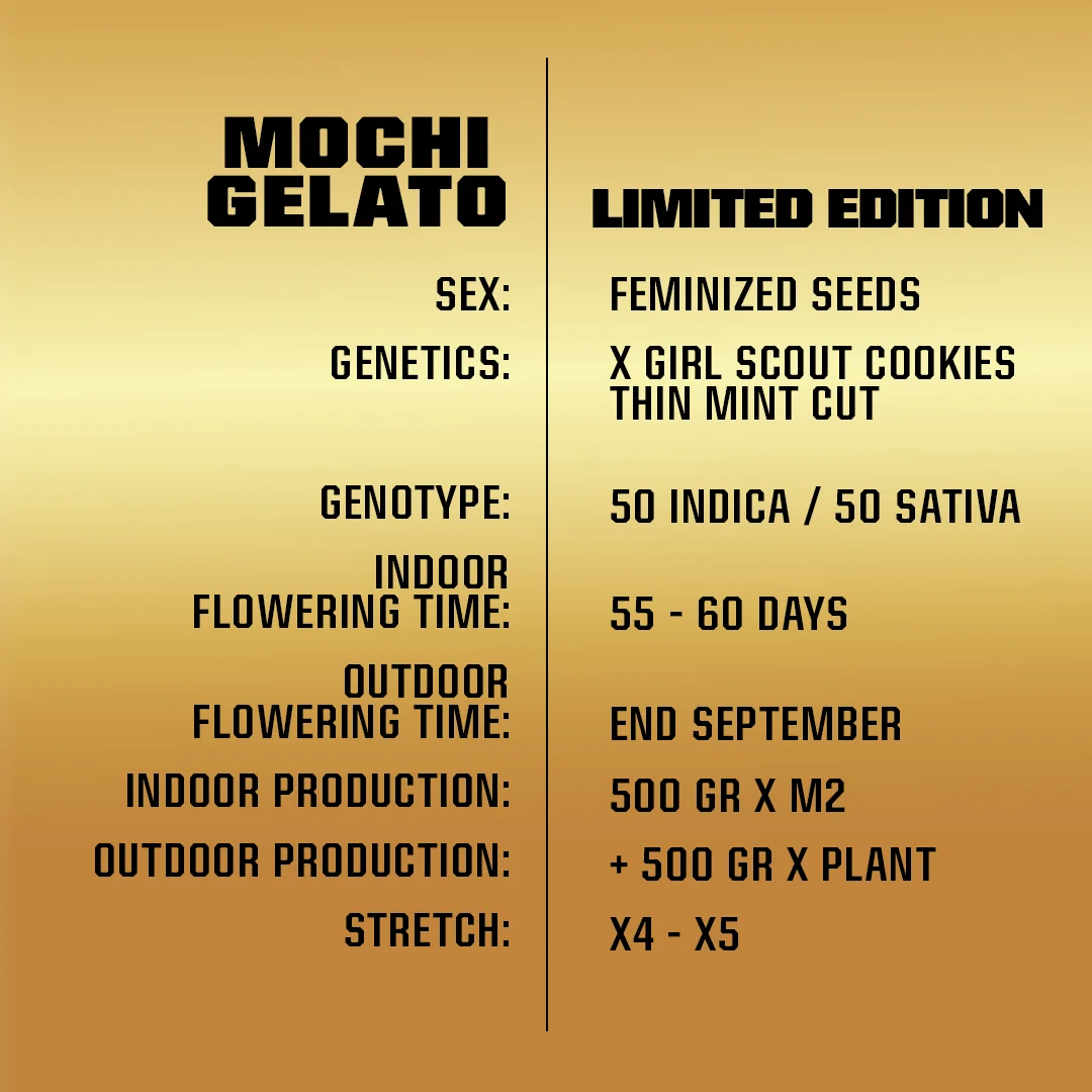 Mochi Gelato