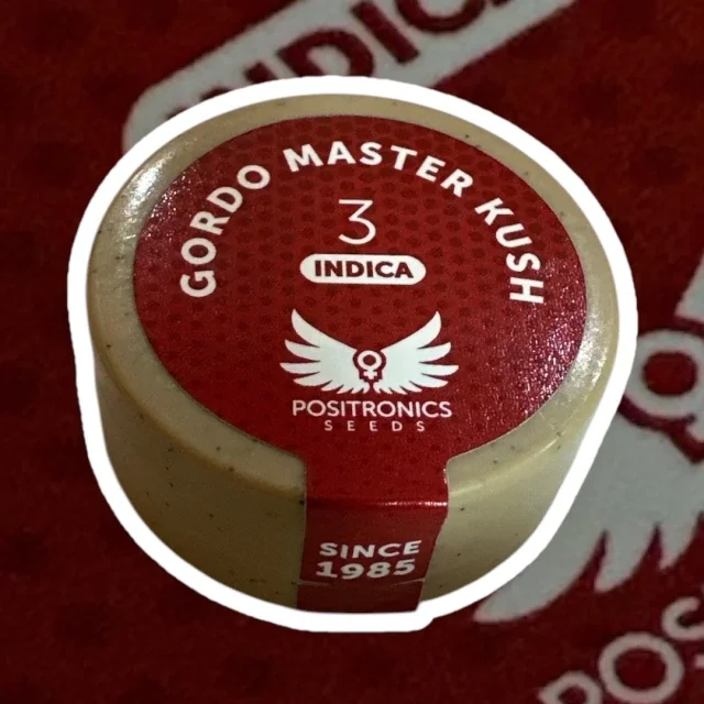 Gordo Master Kush 5