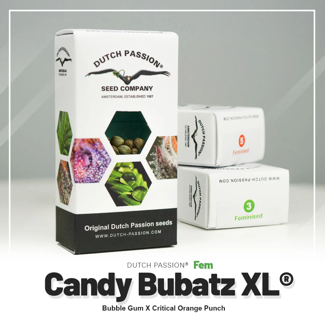 Candy Bubatz Xl