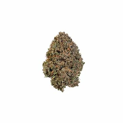 Frosty Tooth 2