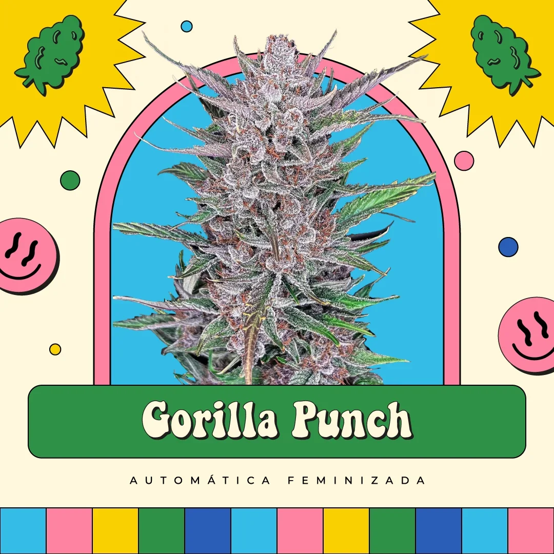 Gorilla Punch 3