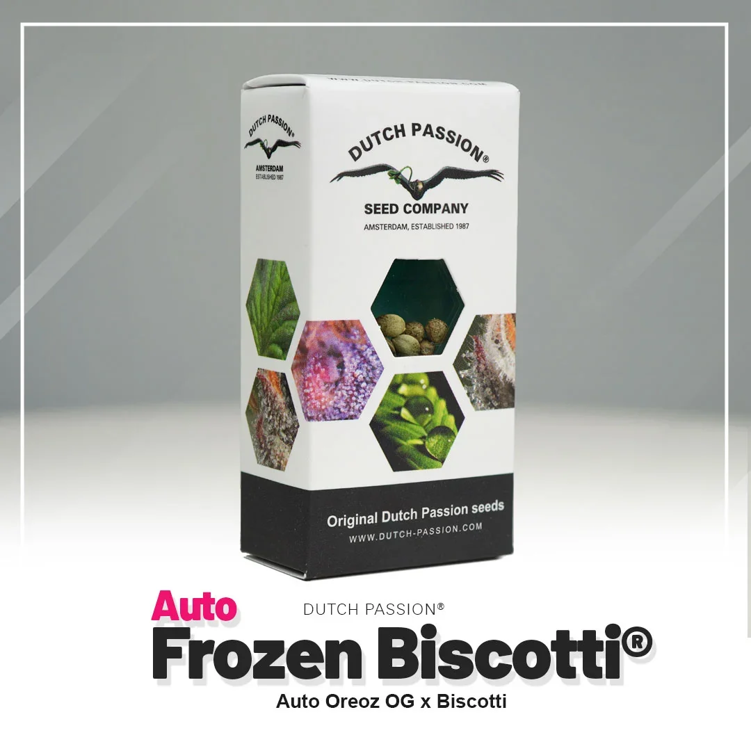 Frozen Biscotti