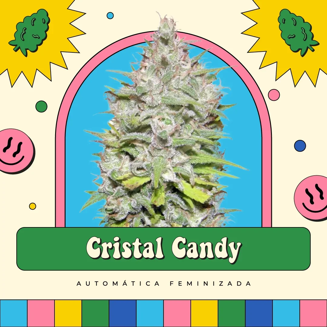 Crystal Candy