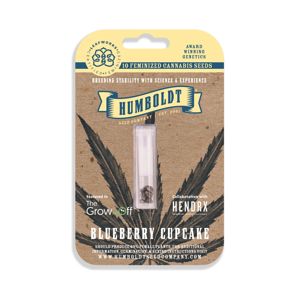 Blueberry Cupcake