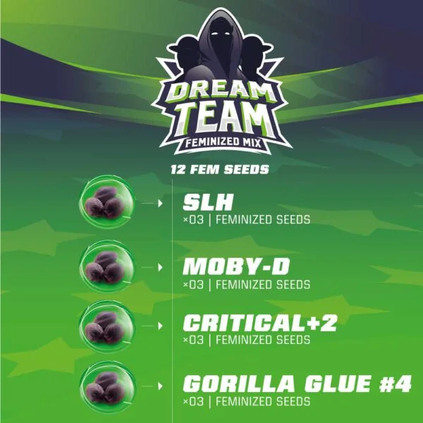 Dream Team Mix Bsf Com 2