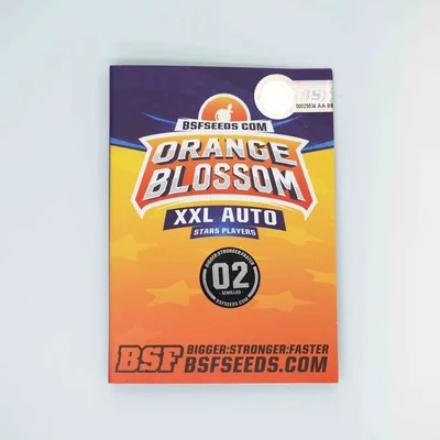 Orange Blossom Xxl