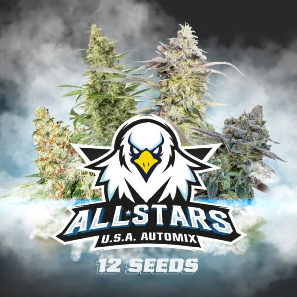 All Stars Usa