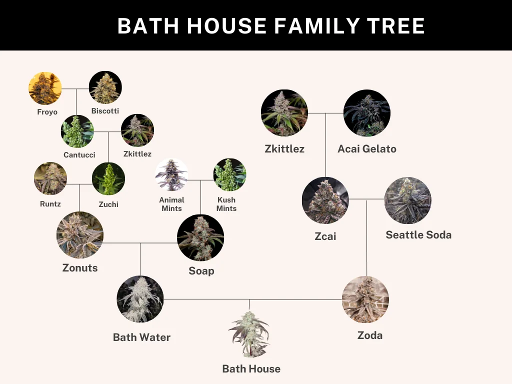 Bath House 2