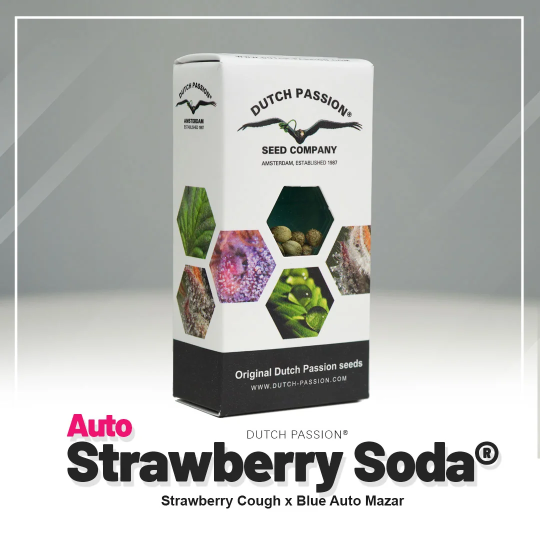 Strawberry Soda
