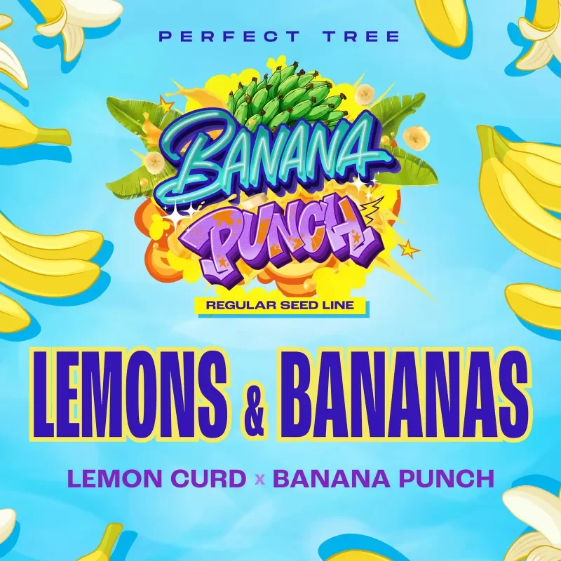 Lemons Bananas 3