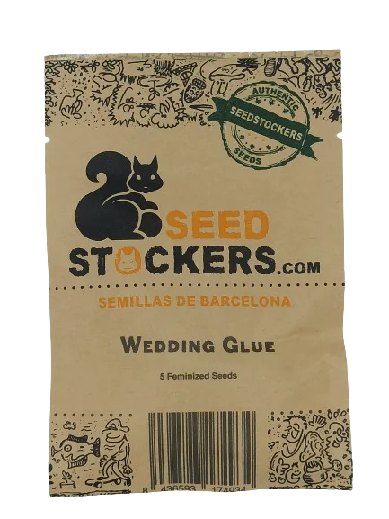 Wedding Glue 5