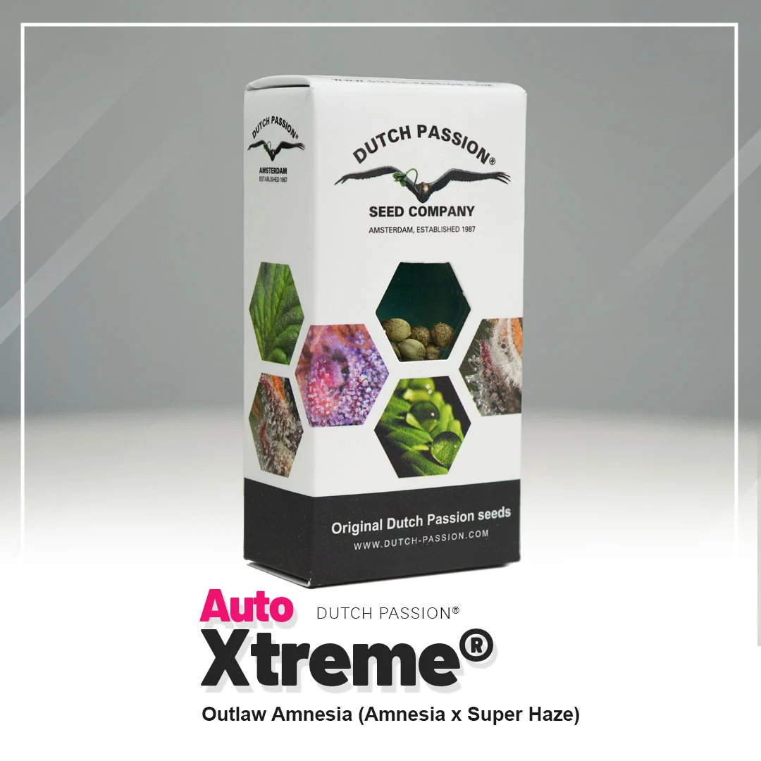 Xtreme Haze