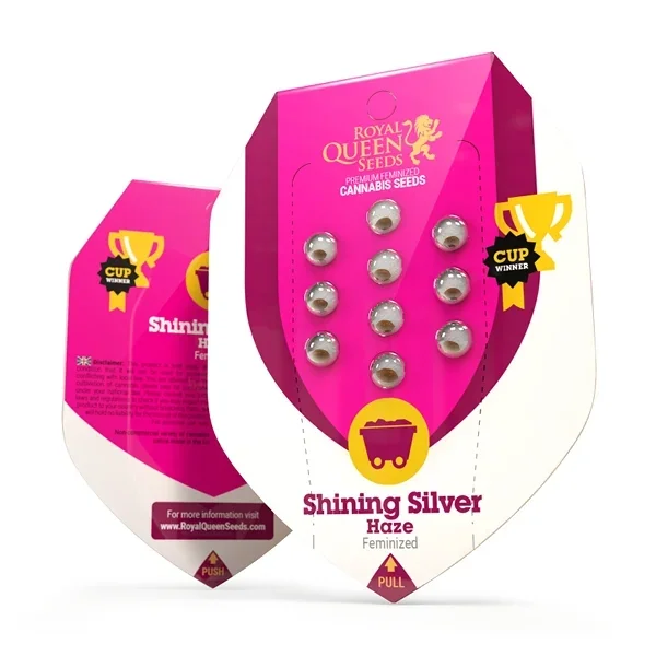 Shining Silver Haze 4