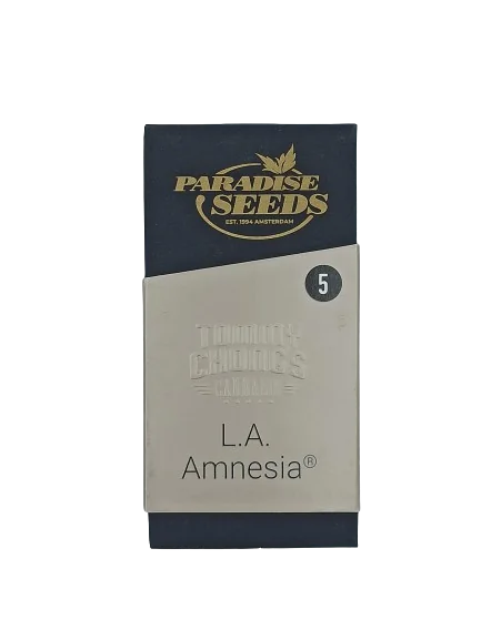 L A Amnesia