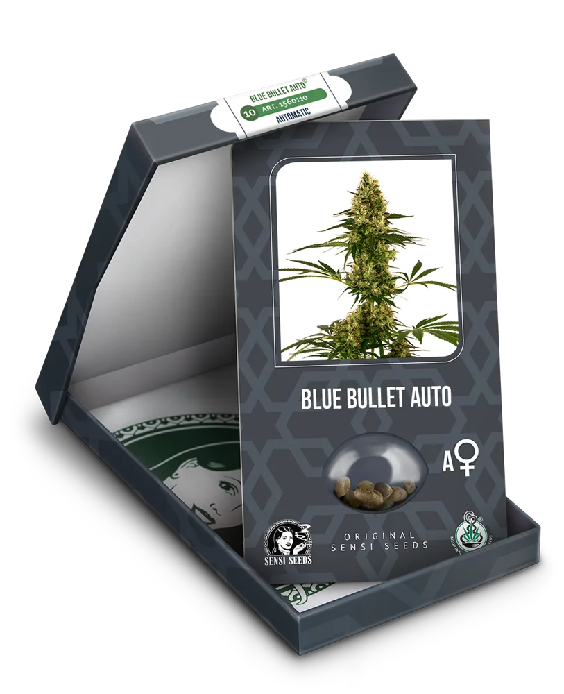 Blue Bullet 4