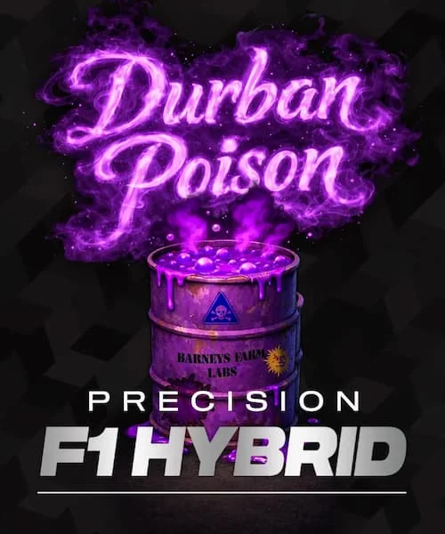 Durban Poison 4
