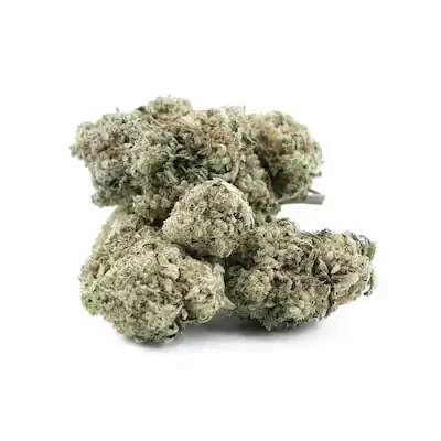 Gorilla Punch 2