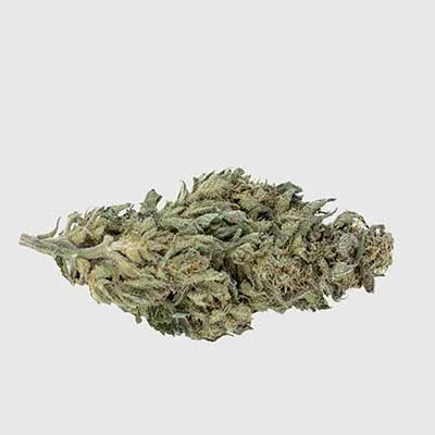 White Widow Xxl 2