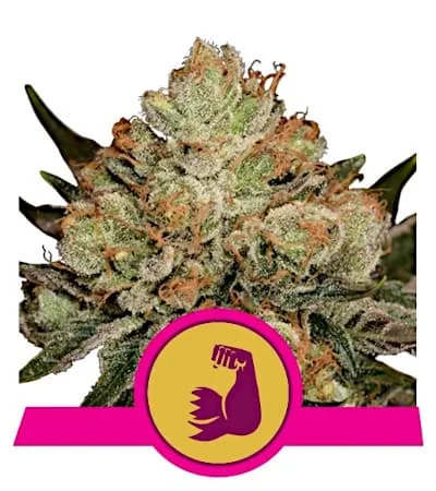 Hulkberry