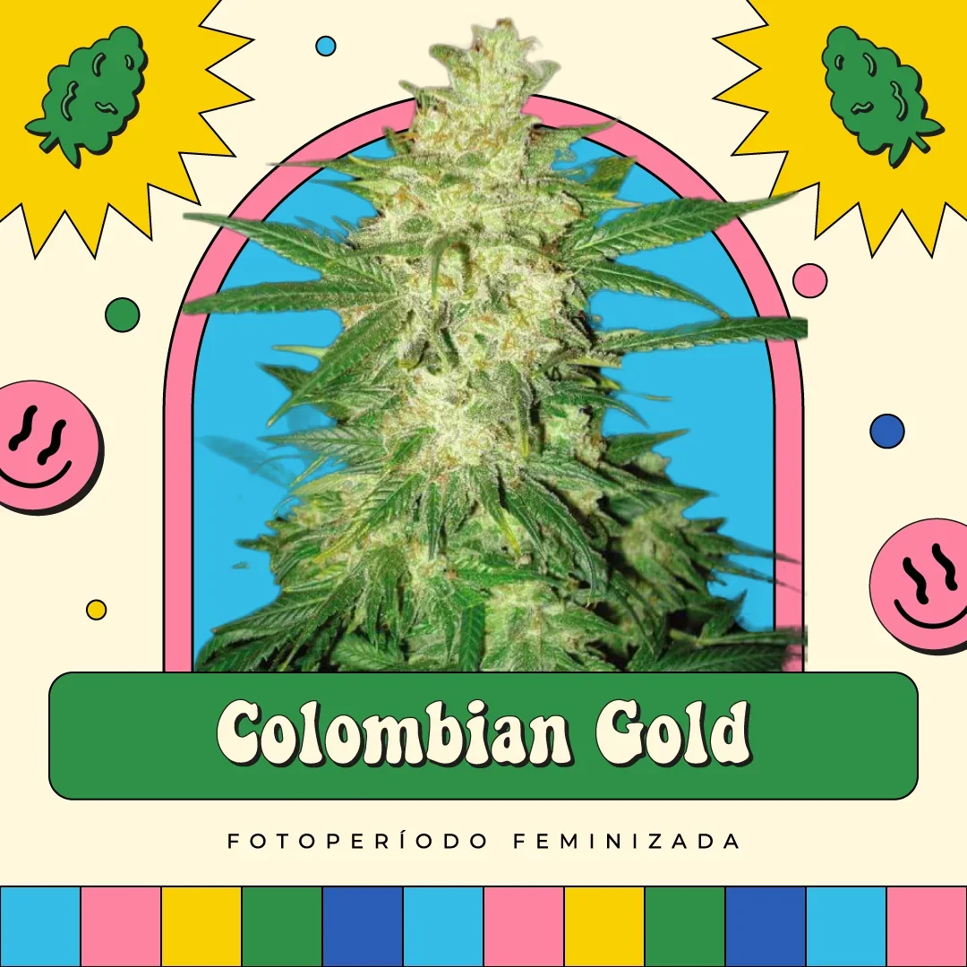 Colombian Gold