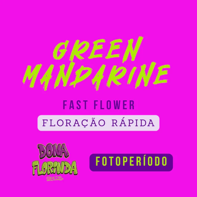 Green Mandarine Floracao Rapida 2