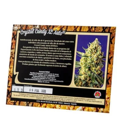 Crystal Candy Xl 4