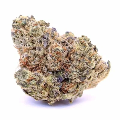 Lemon Bean 3