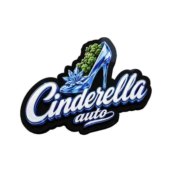 Cinderella 3