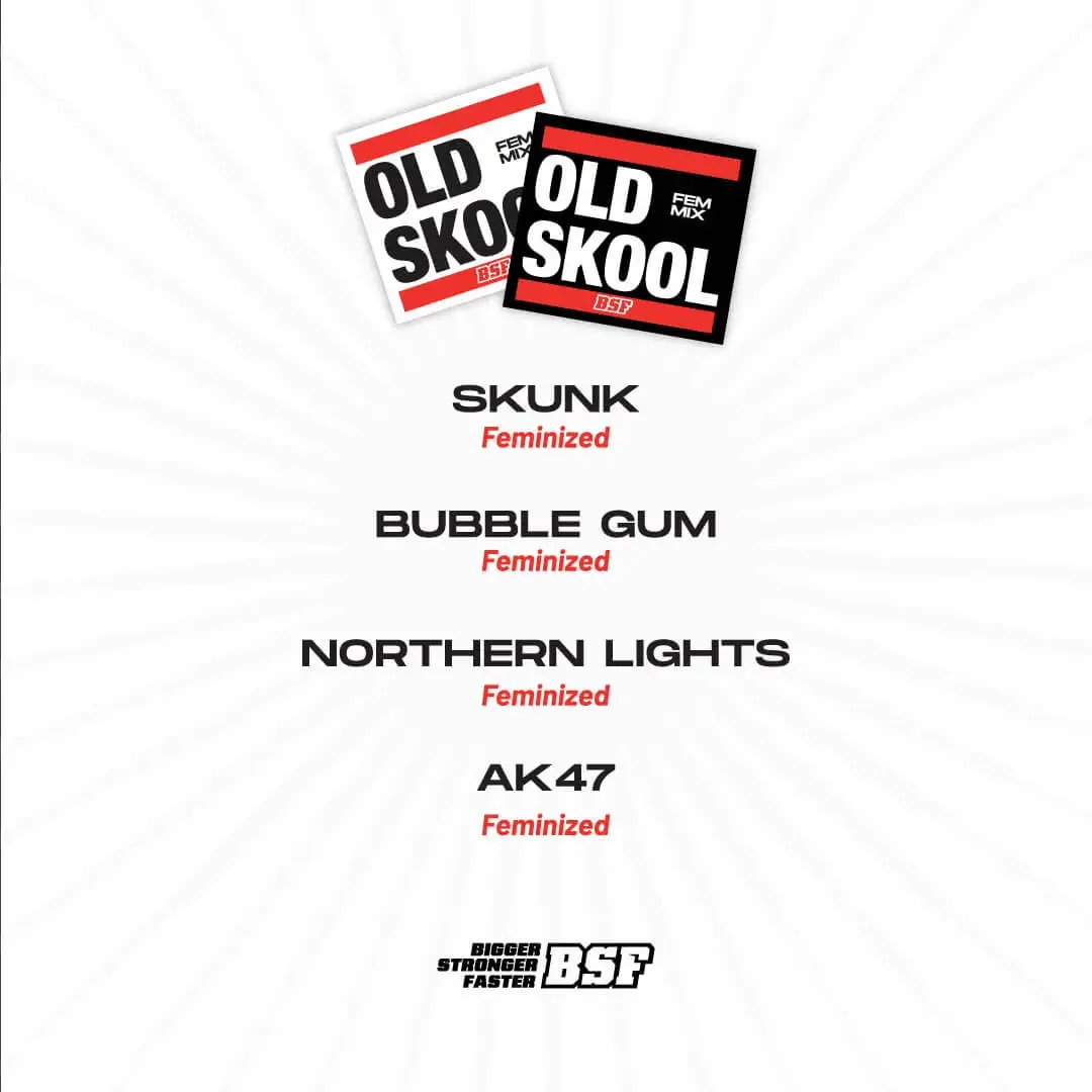 Old Skool Mix Bsf Com 3