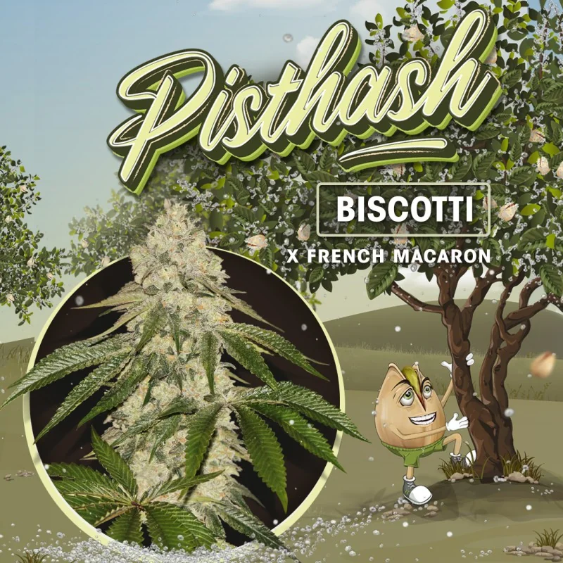 Pisthash 2
