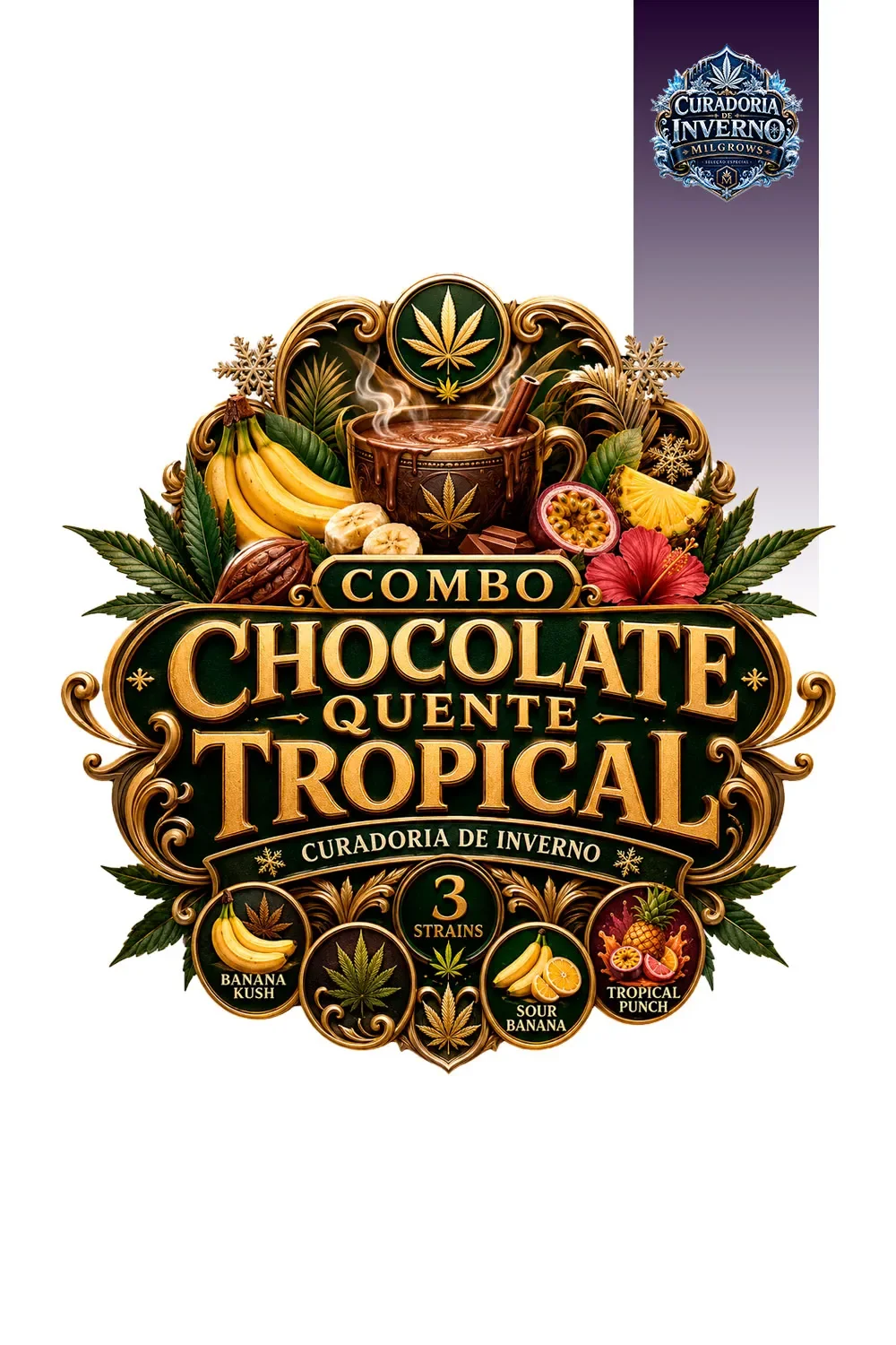 Chocolate Quente Tropical 3 Strains