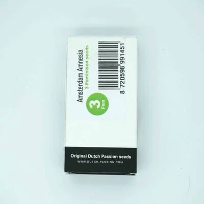 Amsterdam Amnesia