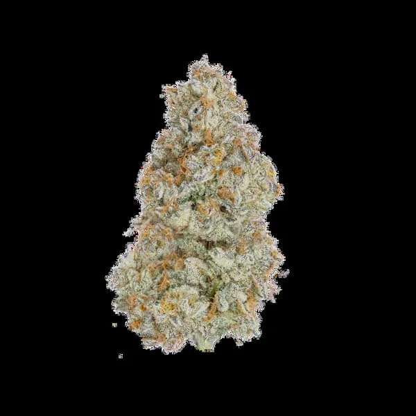 Cereal Milk 2
