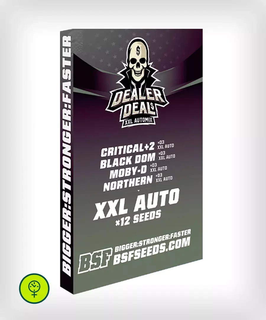 Dealer Deal Xxl Automix 4