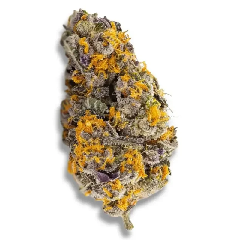 Cherry Punch 2