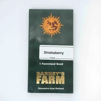 Shiskaberry 2