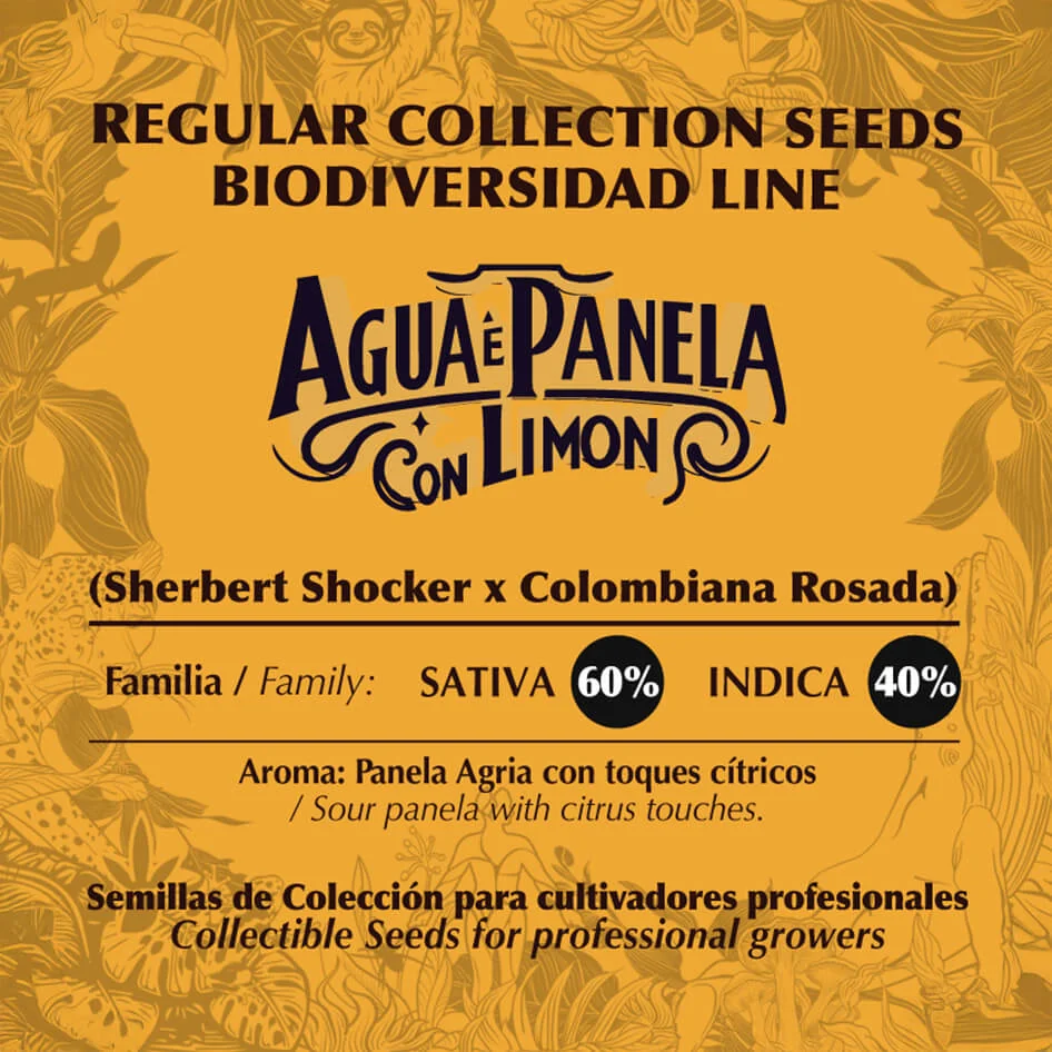 Agua E Panela Con Limon 2