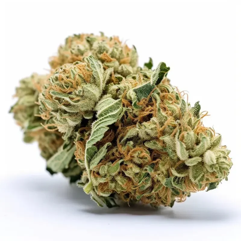 White Widow