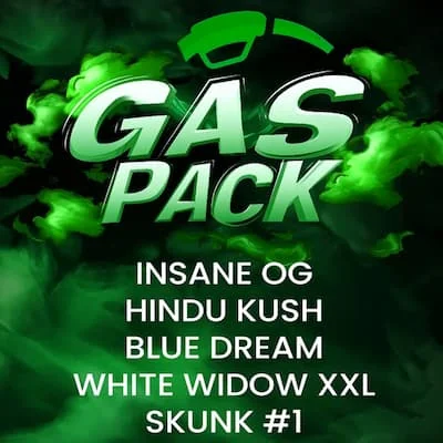 Gas