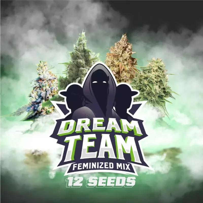 Dream Team Mix 4