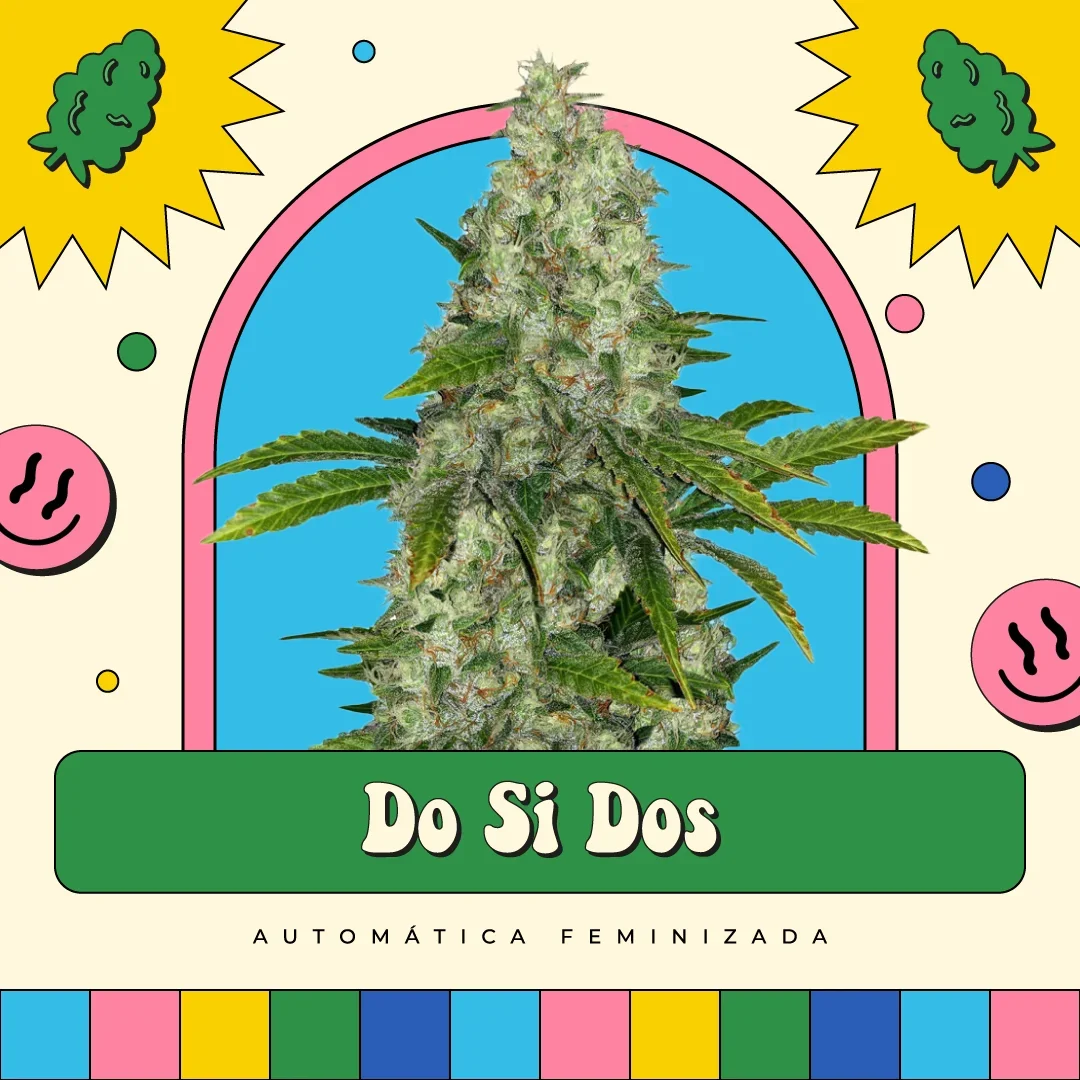 Do Si Dos