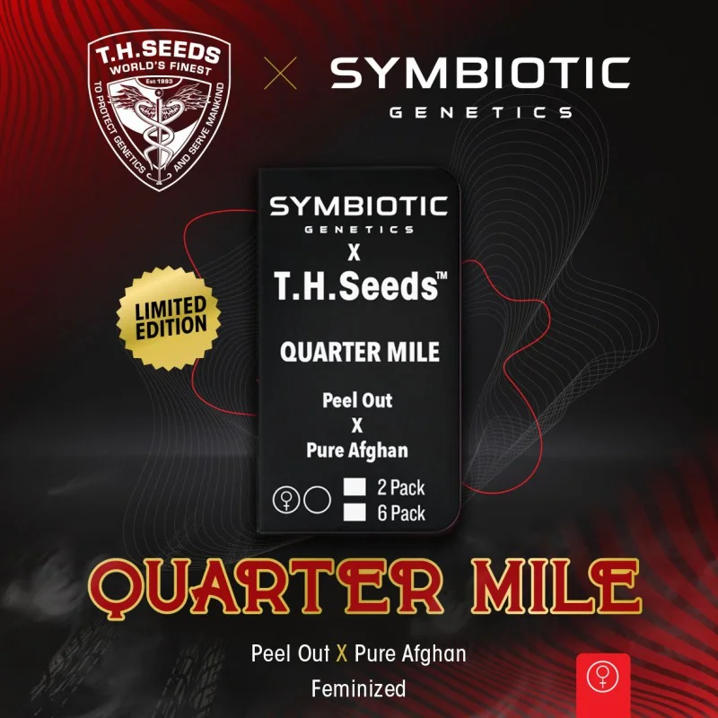 Quarter Mile