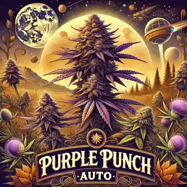 Purple Punch